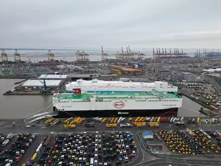 Der Autofrachter «BYD Explorer No.1» liegt mit 3000 Neuwagen an Bord in Bremerhaven. Der Frachter ist vom chinesischen Shenzen nach Europa gekommen. - Foto: Lars Penning/dpa