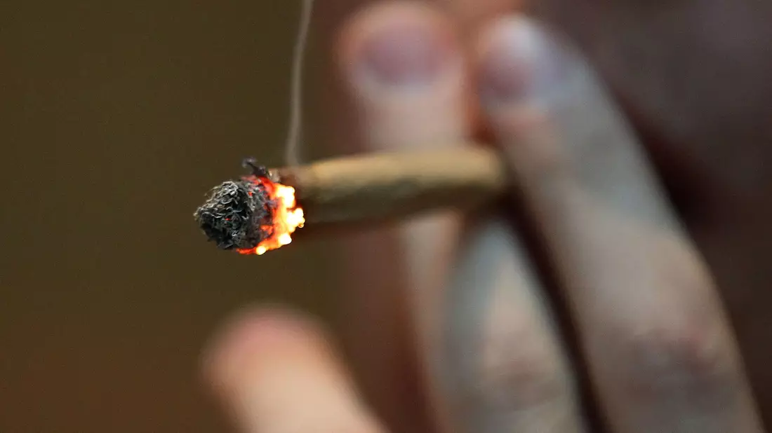 Cannabis und die Hirnchemie Jugendlicher - wie groß sind die Risiken? - Bild: Oliver Berg/dpa