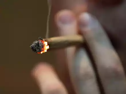 Cannabis und die Hirnchemie Jugendlicher - wie groß sind die Risiken? - Foto: Oliver Berg/dpa