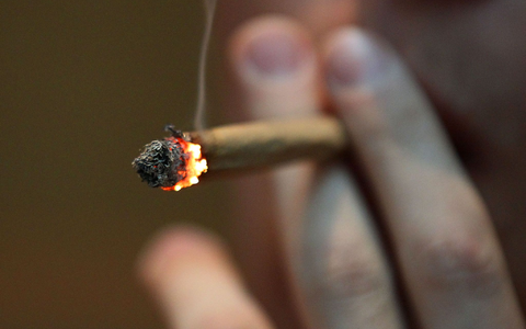 Cannabis und die Hirnchemie Jugendlicher - wie groß sind die Risiken? - Foto: Oliver Berg/dpa