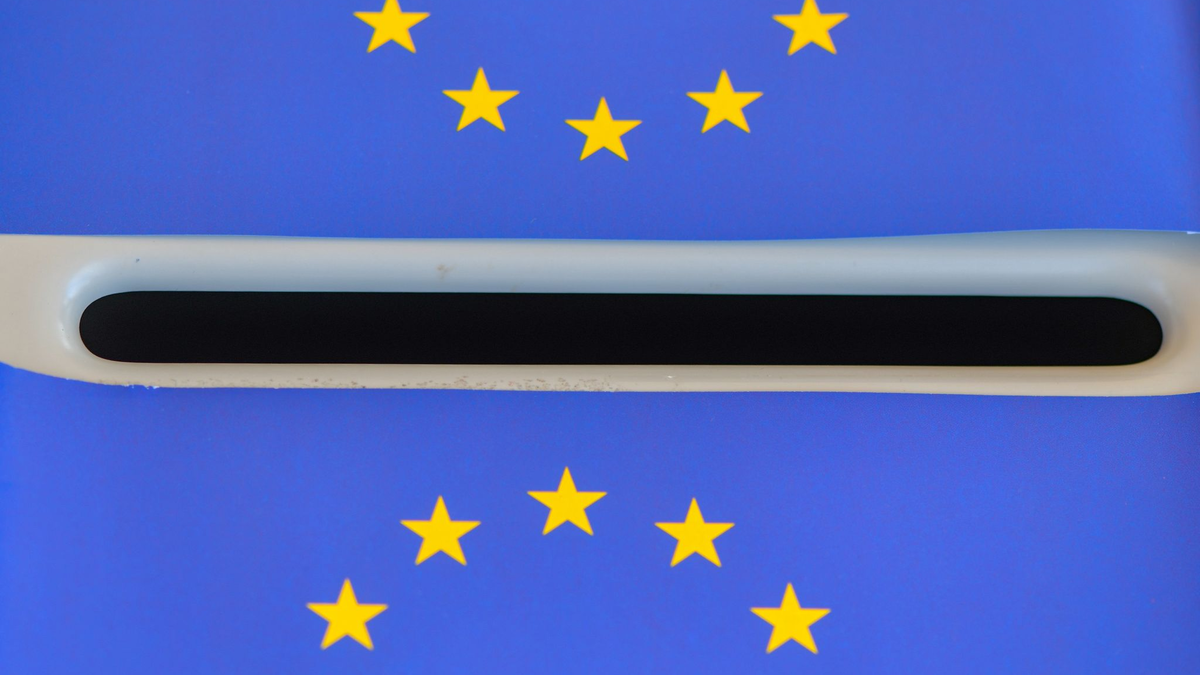 Wann ist Wahltag? In Deutschland findet die Europawahl am Sonntag, den 9. Juni, statt. - Foto: Patrick Pleul/dpa