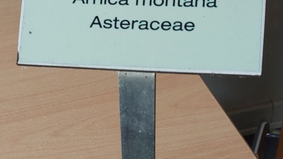 POL-KI: 240523.1 Plön: Zeugen nach Diebstahl aus Apothekergarten gesucht - Foto: presseportal.de