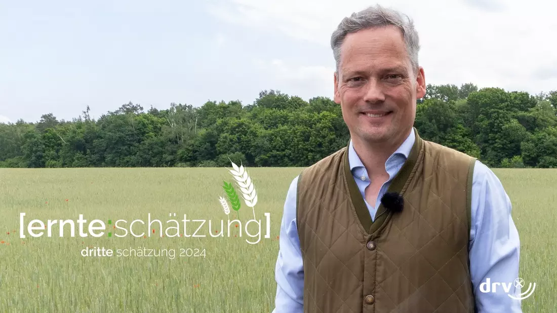Dritte DRV-Ernteschätzung 2024 / DRV: Kurzfrist-Entscheidungen führen zu Markt-Turbulenzen - Bild: presseportal.de