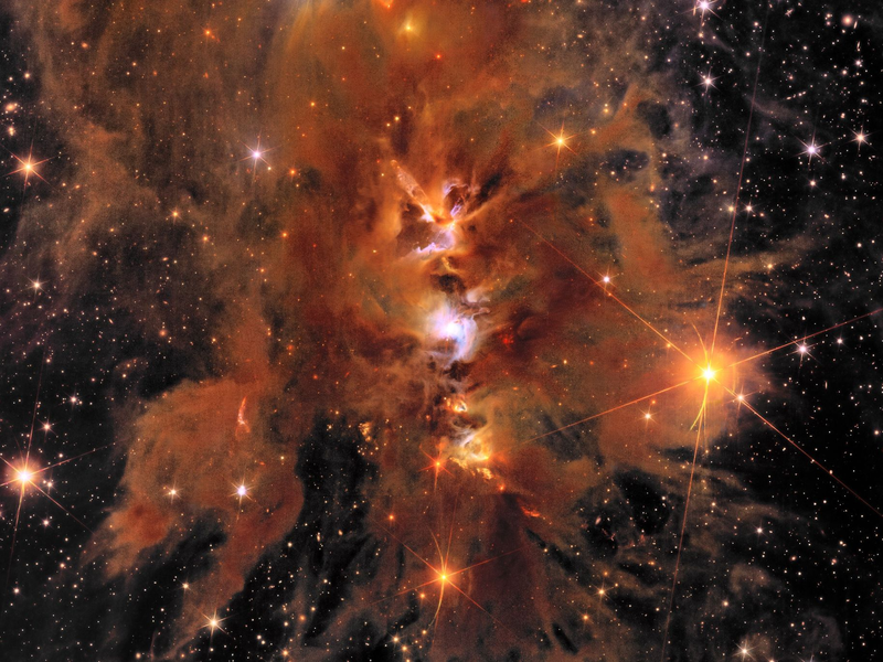 «Messier 78»: ein leuchtender, von interstellarem Staub umhüllter Sternhaufen. - Foto: ESA/Euclid/Euclid Consortium/NASA/J.-C. Cuillandre (CEA Paris-Saclay), G. Anselmi/dpa