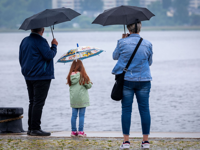 Dringend benötigt: Regen in der Landwirtschaft.  - Foto: Jens Büttner/dpa