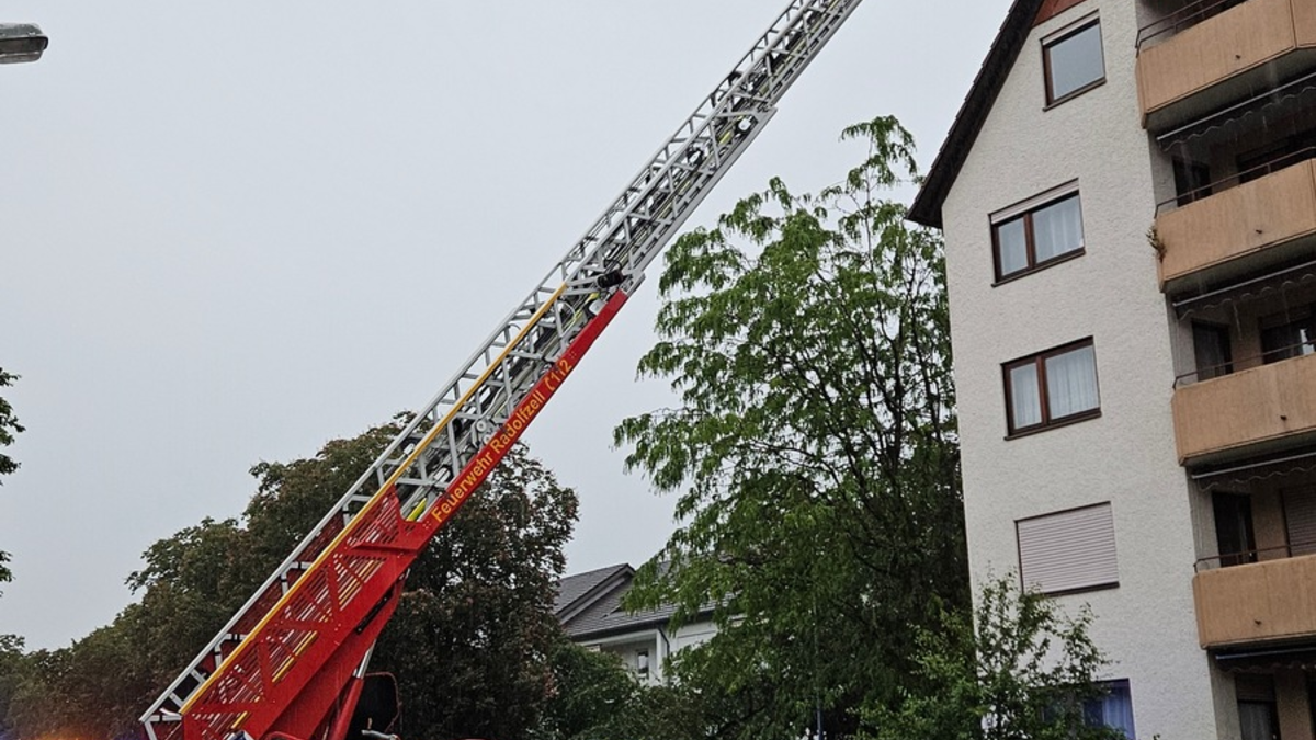 FW-Radolfzell: Brand nach Blitzeinschlag - Foto: presseportal.de
