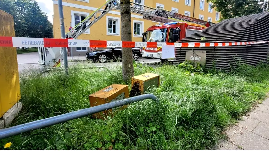 FW-M: Riesiger Bienenschwarm im Baum (Bogenhausen) - Bild: presseportal.de