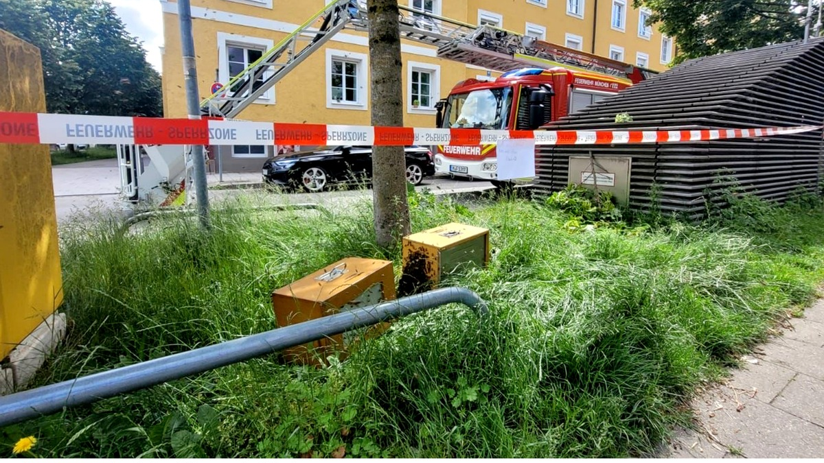 FW-M: Riesiger Bienenschwarm im Baum (Bogenhausen) - Foto: presseportal.de