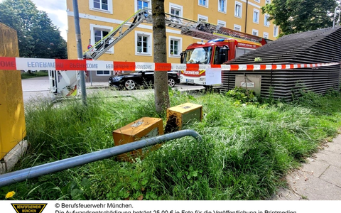 FW-M: Riesiger Bienenschwarm im Baum (Bogenhausen) - Foto: presseportal.de