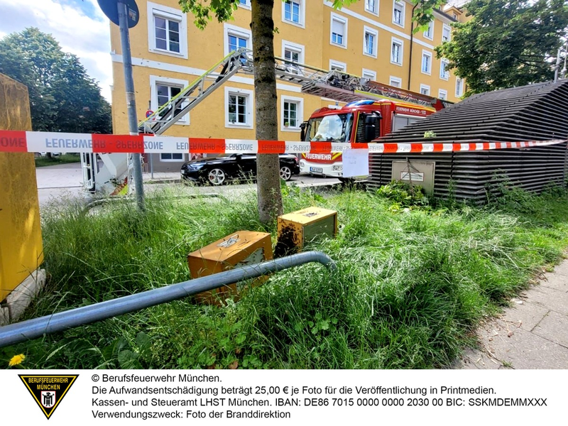 FW-M: Riesiger Bienenschwarm im Baum (Bogenhausen) - Foto: presseportal.de