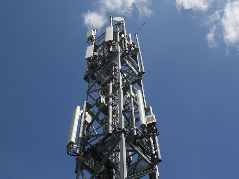 Die Fußball-Europameisterschaft in Deutschland könnte laut Telefonica O2 «Rekorde bei der Streaming-Nachfrage brechen». - Foto: Christoph Dernbach/dpa