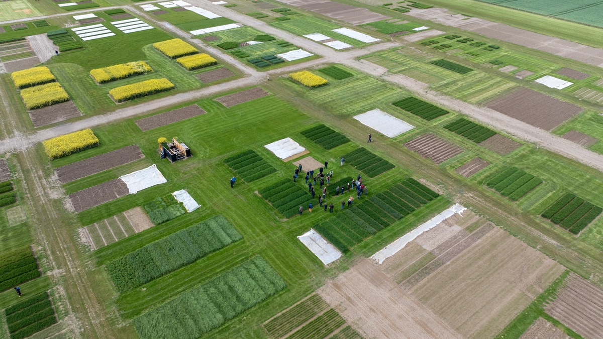 DLG-Feldtage: Landwirtschaftliche Fachmesse lockt ins Freiland - Foto: presseportal.de
