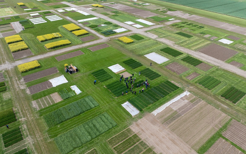 DLG-Feldtage: Landwirtschaftliche Fachmesse lockt ins Freiland - Foto: presseportal.de