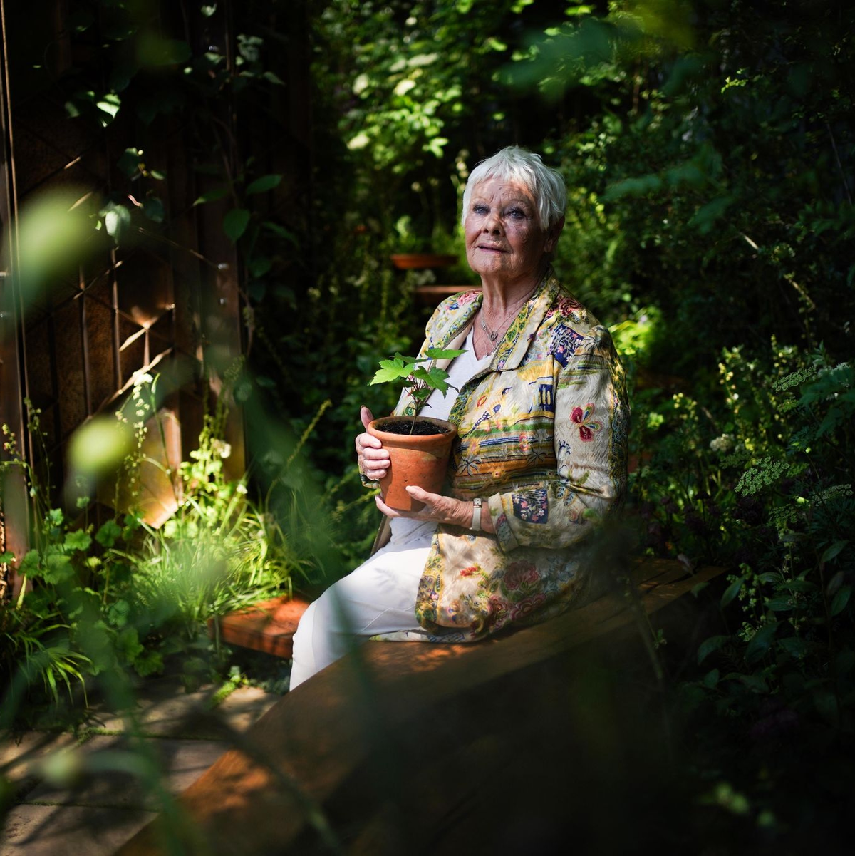 Dame Judi Dench mit einem Setzling des  Berg-Ahorns bei der Chelsea Flower Show. - Foto: Yui Mok/PA Wire/dpa