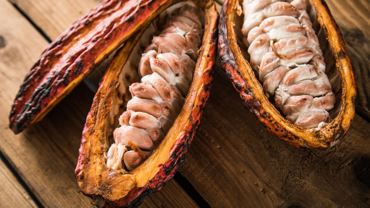 Halbierte Kakaofrüchte, im Inneren gut zu sehen: die Kakaosamen. - Foto: Christin Klose/dpa-tmn/dpa