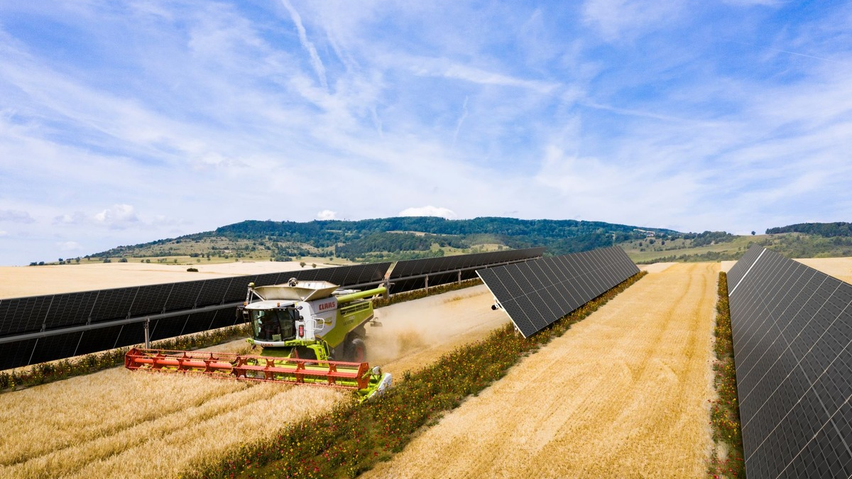 Spanischer Solarpark versorgt VELUX mit grüner Energie und kombiniert Agri-PV mit Biodiversität - Foto: presseportal.de