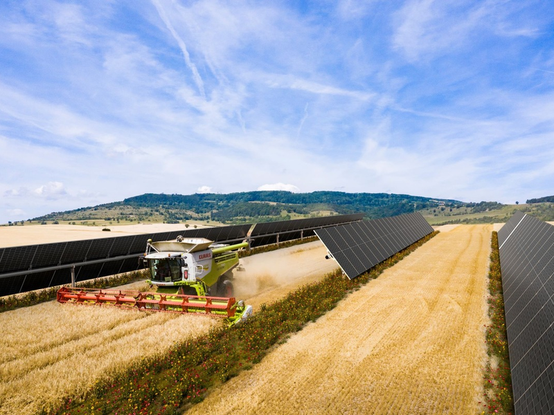 Spanischer Solarpark versorgt VELUX mit grüner Energie und kombiniert Agri-PV mit Biodiversität - Foto: presseportal.de