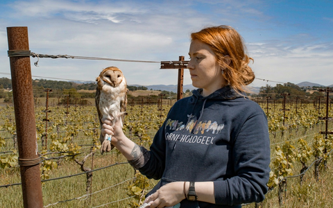 Der MDR zum Weltumwelttag: „Gute Nachrichten vom Planeten“ - Foto: presseportal.de