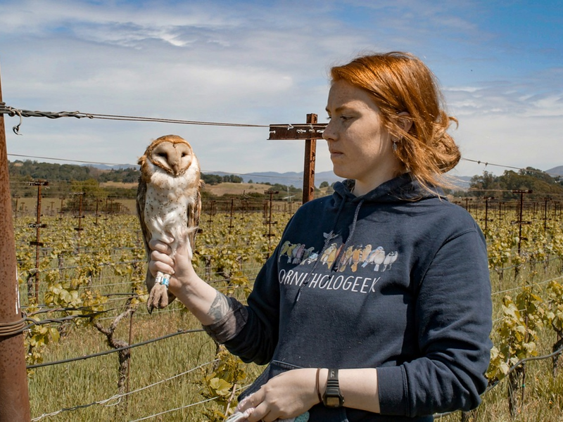 Der MDR zum Weltumwelttag: „Gute Nachrichten vom Planeten“ - Foto: presseportal.de