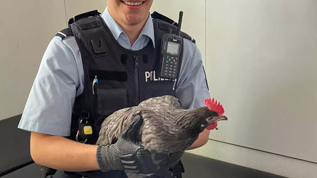POL-BO: Gefiederter Ausreißer hält Polizei und Anwohner auf Trab - Festnahme! - Bild: presseportal.de