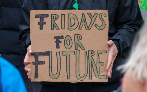 Fridays for Future hat für den 31. Mai Streiks angekündigt. - Foto: Andreas Arnold/dpa