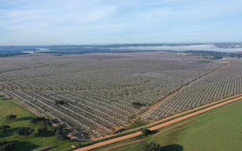 Die iberische Mandel setzt auf Frankreich und Deutschland, um in den kommenden Jahren dank ihrer größten Trümpfe Nachhaltigkeit und Qualität auf dem europäischen Markt zu wachsen - Foto: presseportal.de