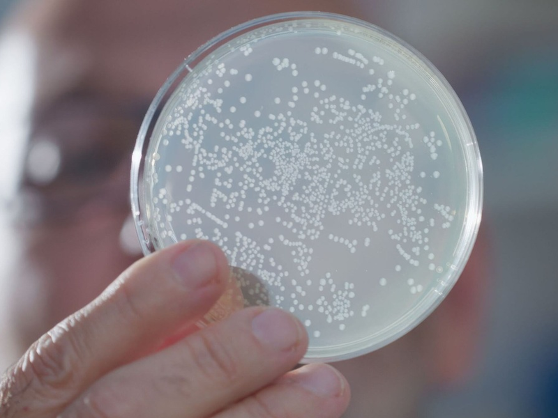 WissenHoch2 in 3sat über KI in der Medizin und winzige Antikörper - Foto: presseportal.de