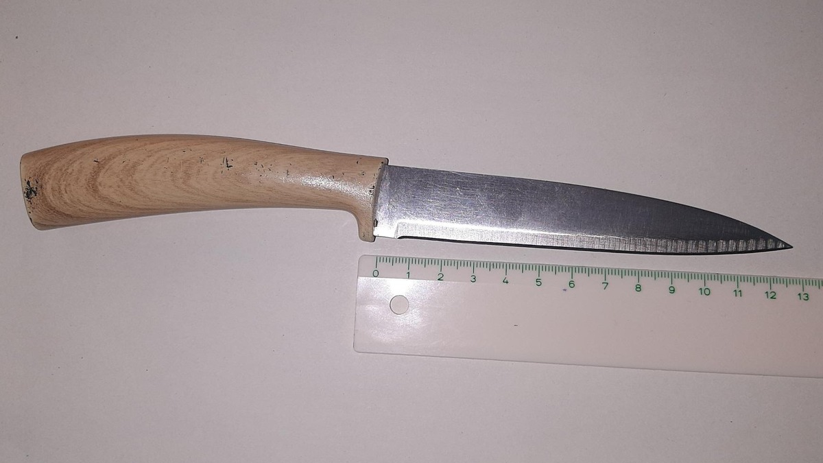 BPOLD-B: Bundespolizei nimmt Mann nach Bedrohung im RE 1 mit Messer fest - Foto: presseportal.de