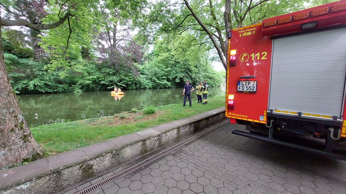 FW-DT: Detmolder Schlossgraben: Todesfall eines Schwanenkükens - Wildtiere nicht füttern! - Foto: presseportal.de