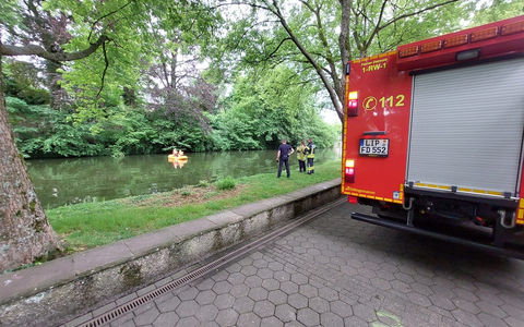 FW-DT: Detmolder Schlossgraben: Todesfall eines Schwanenkükens - Wildtiere nicht füttern! - Foto: presseportal.de