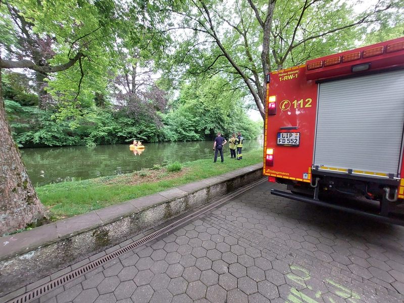 FW-DT: Detmolder Schlossgraben: Todesfall eines Schwanenkükens - Wildtiere nicht füttern! - Foto: presseportal.de