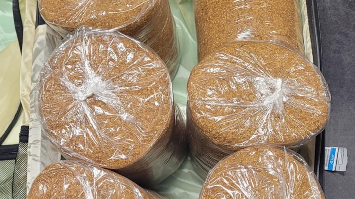 HZA-P: Am Flughafen BER stoppten Zöllner einen Reisenden aus der Türkei mit Jahresvorrat Tabak im Gepäck / Über 35 kg Tabak und 100 Zigaretten sichergestellt - Foto: presseportal.de