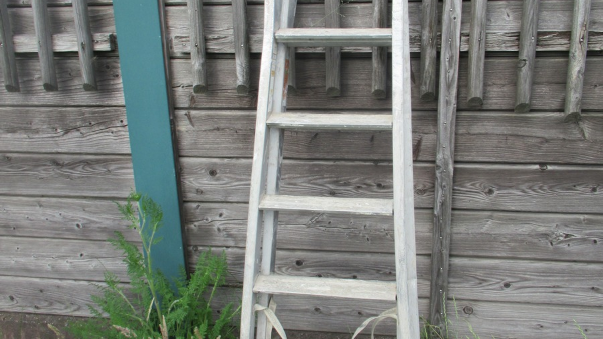 POL-EL: Wietmarschen - Leiter verloren (Foto) - Foto: presseportal.de