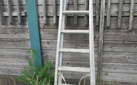 POL-EL: Wietmarschen - Leiter verloren (Foto) - Foto: presseportal.de