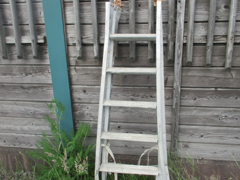 POL-EL: Wietmarschen - Leiter verloren (Foto) - Foto: presseportal.de