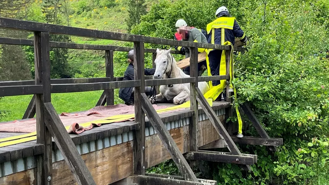 POL-PDTR: Verunglücktes Pferd im Wadrilltal - Bild: presseportal.de