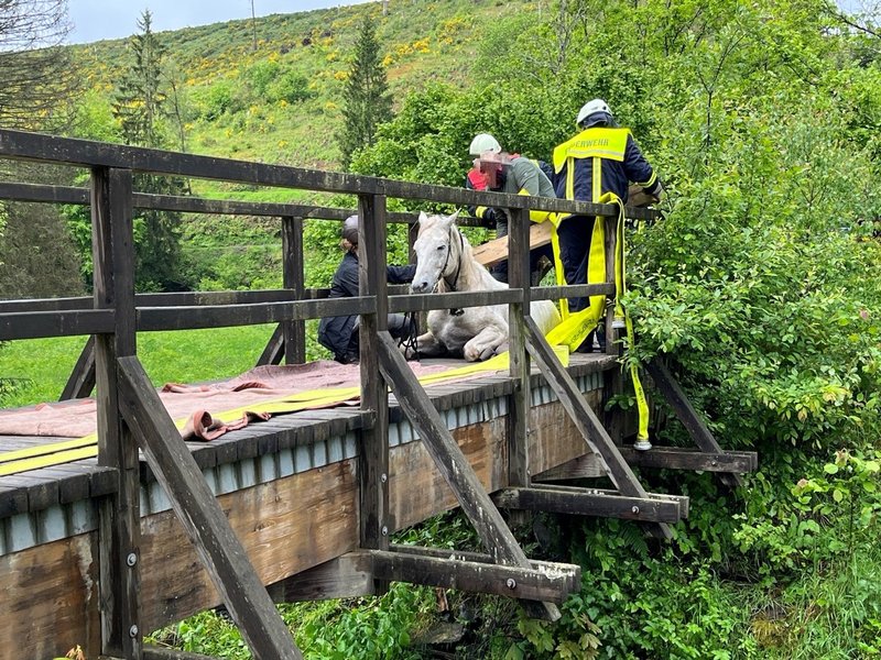 POL-PDTR: Verunglücktes Pferd im Wadrilltal - Foto: presseportal.de