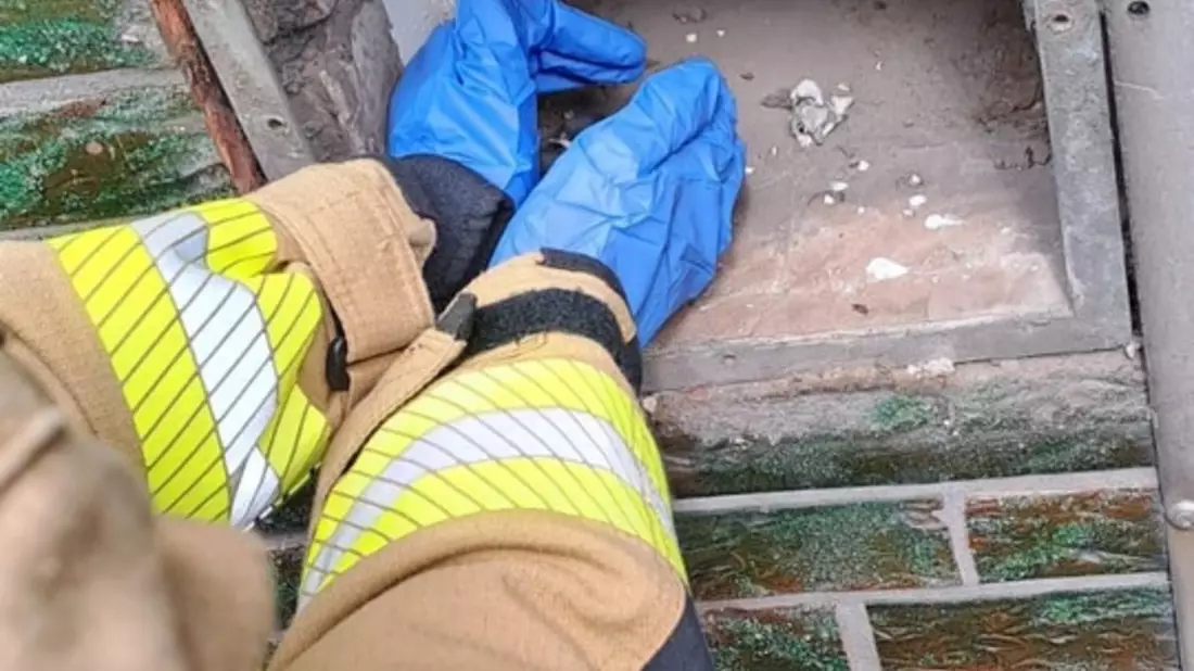 FW-GE: Tierrettung an Fronleichnam - Bild: presseportal.de