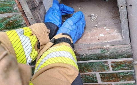 FW-GE: Tierrettung an Fronleichnam - Foto: presseportal.de