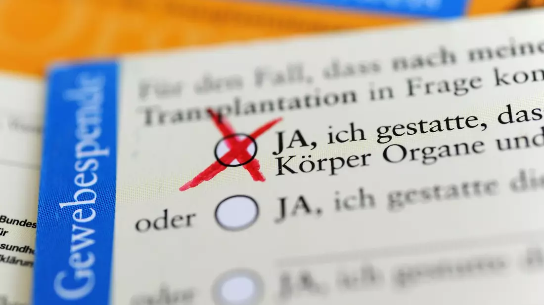 Die Rückseite eines ausgefüllten Organspendeausweises. Das Zustimmungsfeld ist angekreuzt. - Bild: Marie Reichenbach/dpa
