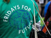 Fridays for Future will in mehr als 100 Städten in Deutschland für Klimaschutz demonstrieren. - Foto: Julian Stähle/dpa