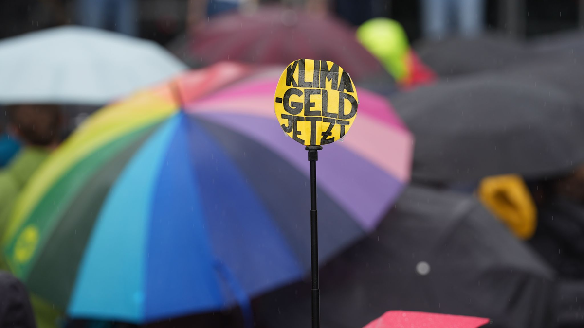 Teilnehmer protestieren während des Klimastreiks von Fridays for Future in Hamburg. - Foto: Marcus Brandt/dpa