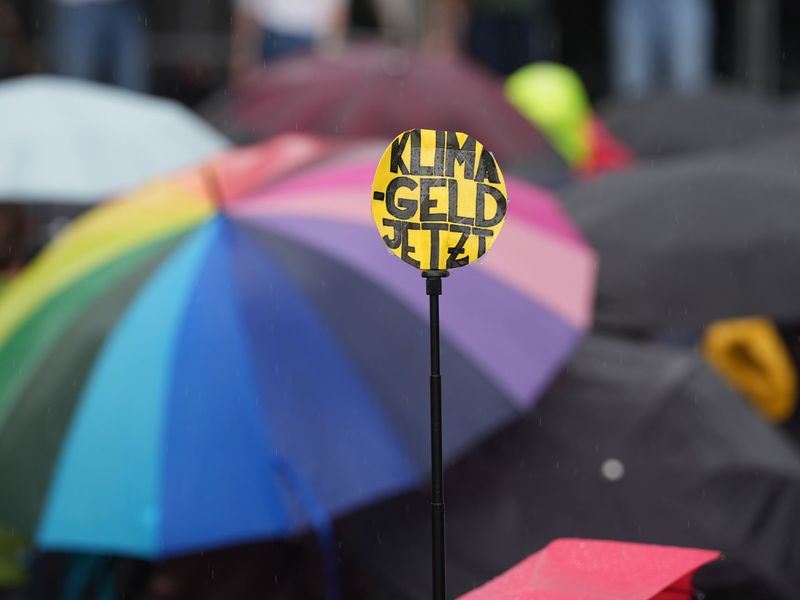 Teilnehmer protestieren wÀhrend des Klimastreiks von Fridays for Future in Hamburg. - Foto: Marcus Brandt/dpa