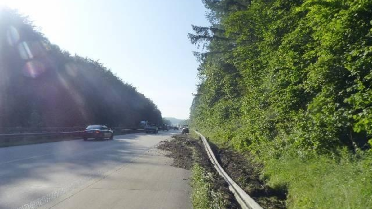 POL-CUX: Sattelzug kommt auf der BAB von der Fahrbahn ab - Fahrzeugführer vermutlich übermüdet und hat offenen Haftbefehl (Lichtbild in der Anlage) - Foto: presseportal.de