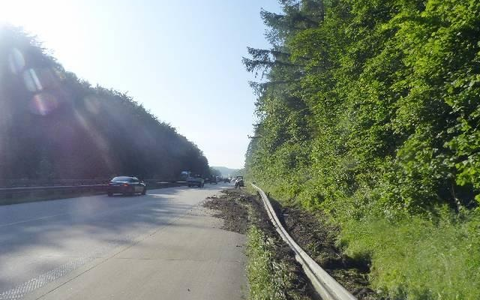 POL-CUX: Sattelzug kommt auf der BAB von der Fahrbahn ab - Fahrzeugführer vermutlich übermüdet und hat offenen Haftbefehl (Lichtbild in der Anlage) - Foto: presseportal.de