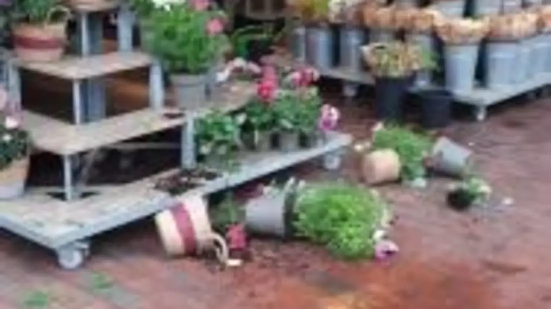 BPOL-FL: NMS - Mann wirft am Bahnhof mit Blumenkübel um sich - Bild: presseportal.de