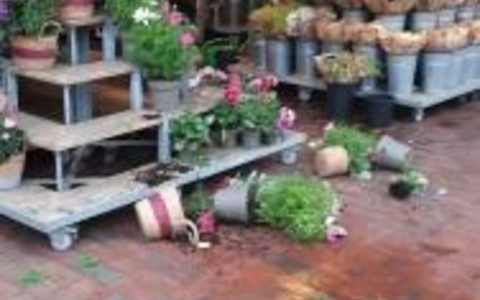 BPOL-FL: NMS - Mann wirft am Bahnhof mit Blumenkübel um sich - Foto: presseportal.de