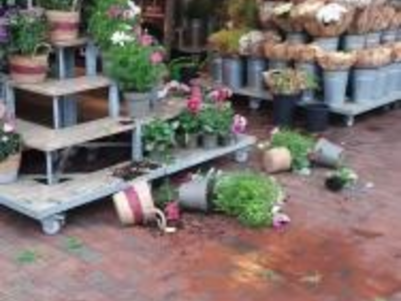 BPOL-FL: NMS - Mann wirft am Bahnhof mit Blumenkübel um sich - Foto: presseportal.de