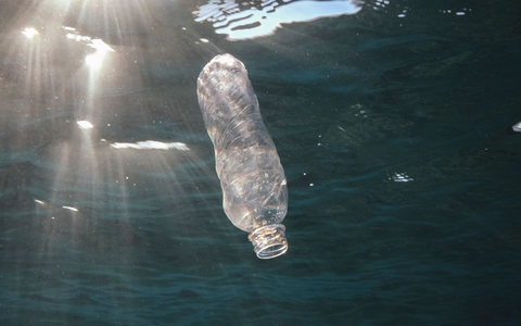 Eine weggeworfene Plastikflasche im Roten Meer vor Ägypten. - Foto: Andrey Nekrasov/Zuma Press/dpa