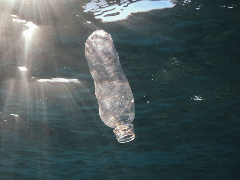 Eine weggeworfene Plastikflasche im Roten Meer vor Ägypten. - Foto: Andrey Nekrasov/Zuma Press/dpa